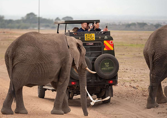 1-day-amboseli-national-park-air-safari