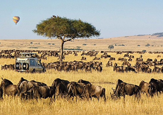 14-days-explore-kenya-tanzania-combined-camping-safari-5