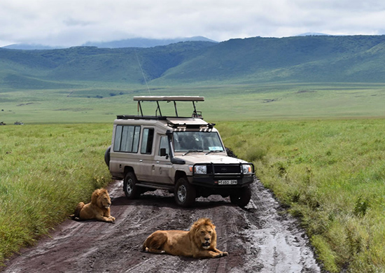 15-days-best-of-kenya-tanzania-game-parks-and-gorillas-camping-safari