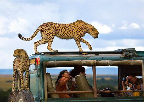 3-days-masai-mara-safaris